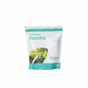 Bactifol