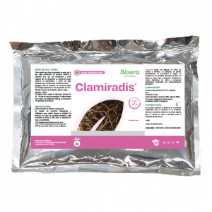 Clamiradis