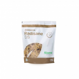 Radisane DS