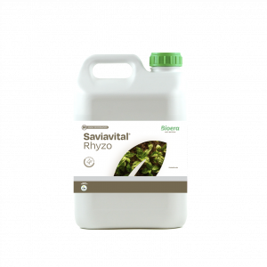 Saviavital Rhyzo
