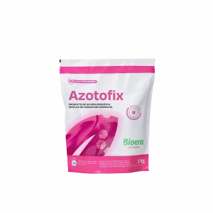 Azotofix
