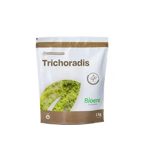 Trichoradis